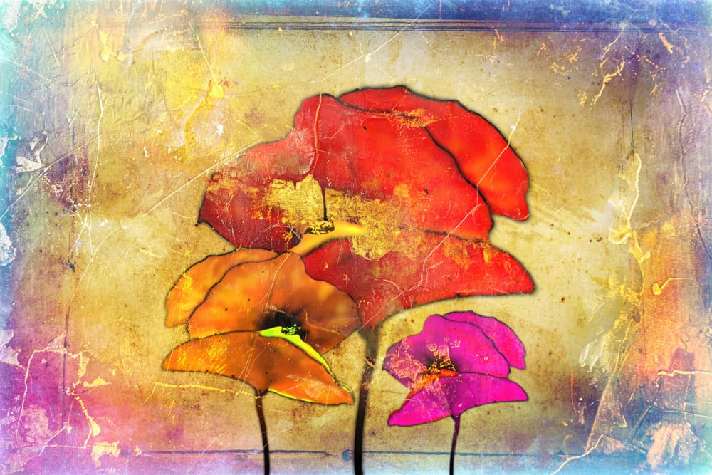 Vibrant Textured Poppies by Rafal Kulik — canvas wall art