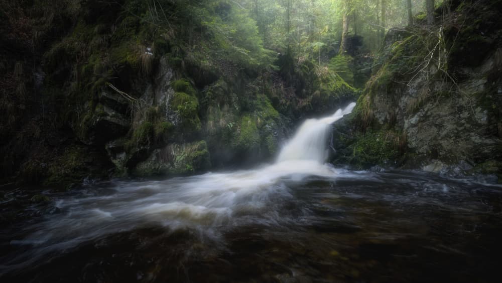 Misty Forest Waterfall by Zbyszek Nowak — canvas wall art
