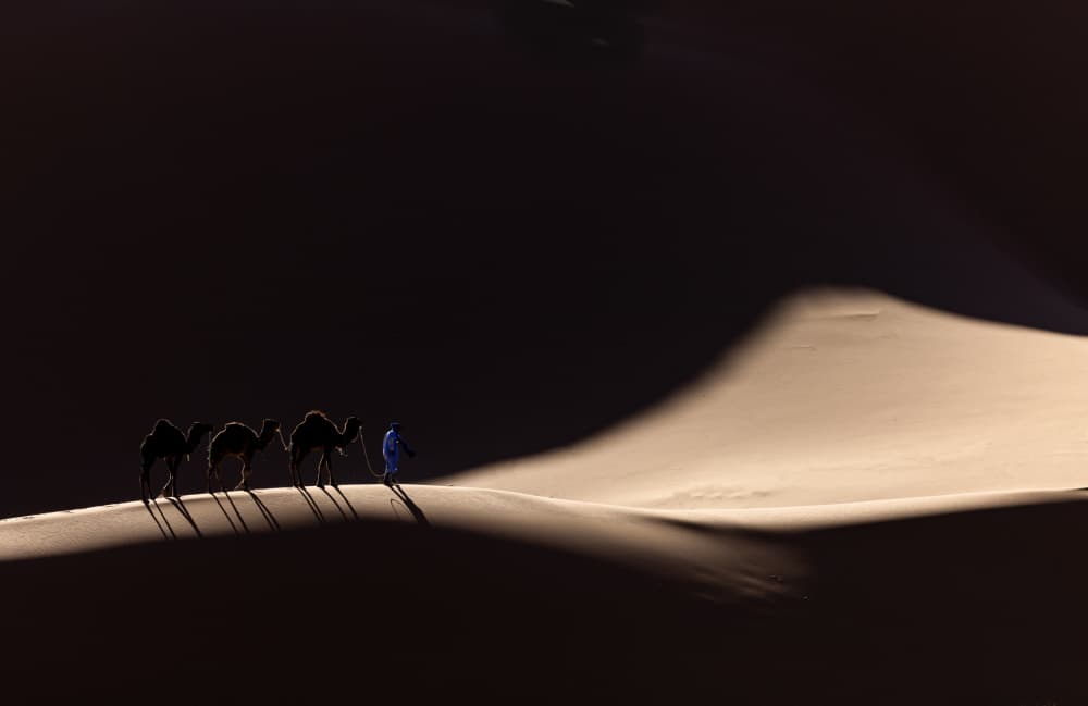 Golden Desert Trek by Muljati Hidajat — canvas wall art