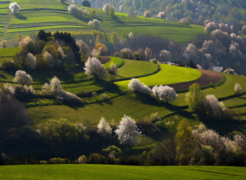Sunlit Spring Landscape by Milan Uhrin AFIAP AZSF — canvas wall art
