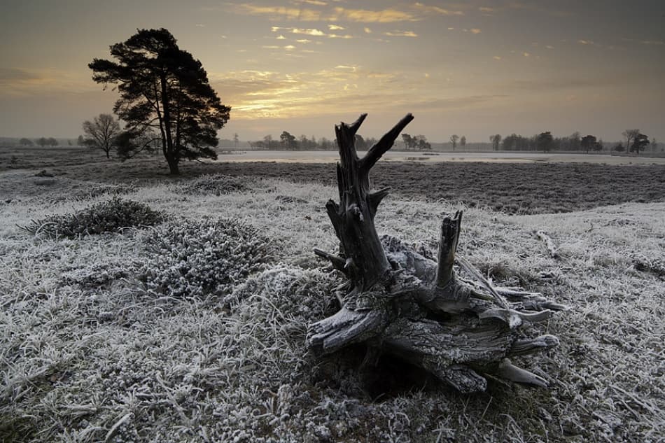Frosted Winter Morning by Hillebrand Breuker — canvas wall art