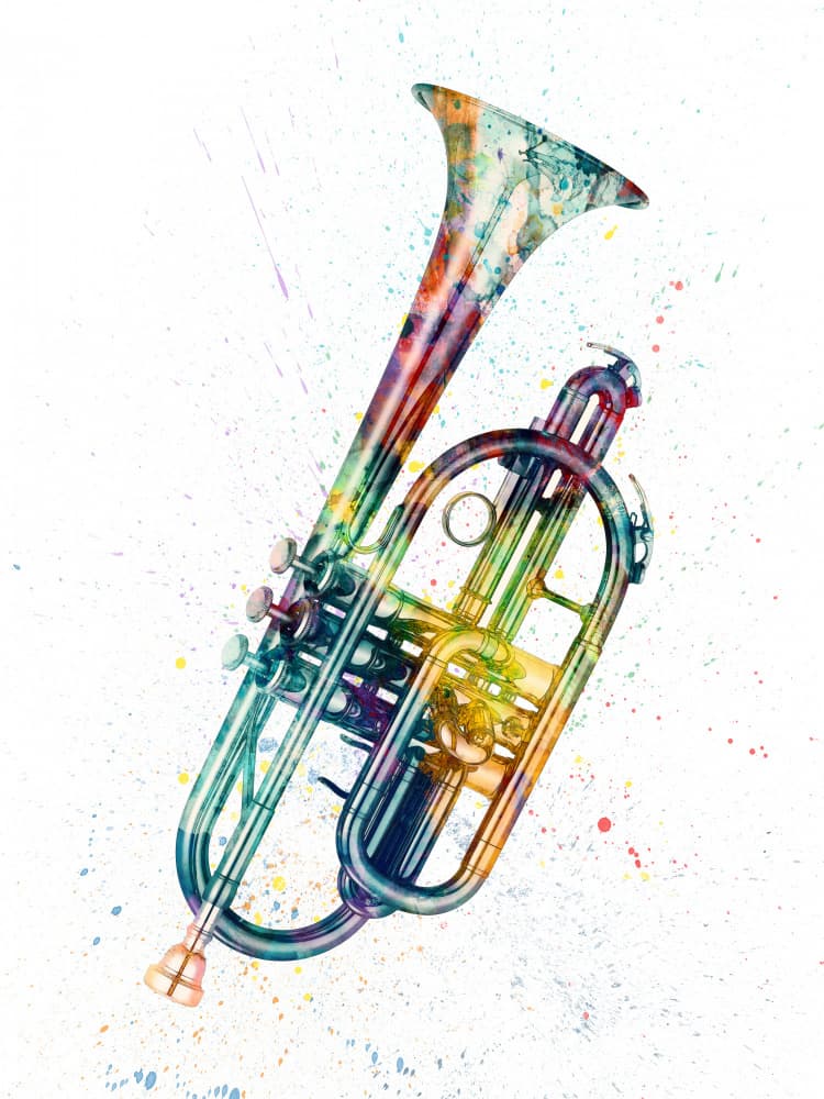 Vibrant Cornet Splash by Michael Tompsett — canvas wall art
