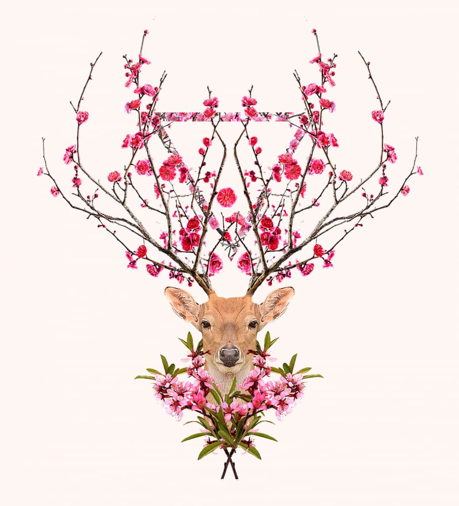 Pink Blossom Deer by Robert Farkas — canvas wall art