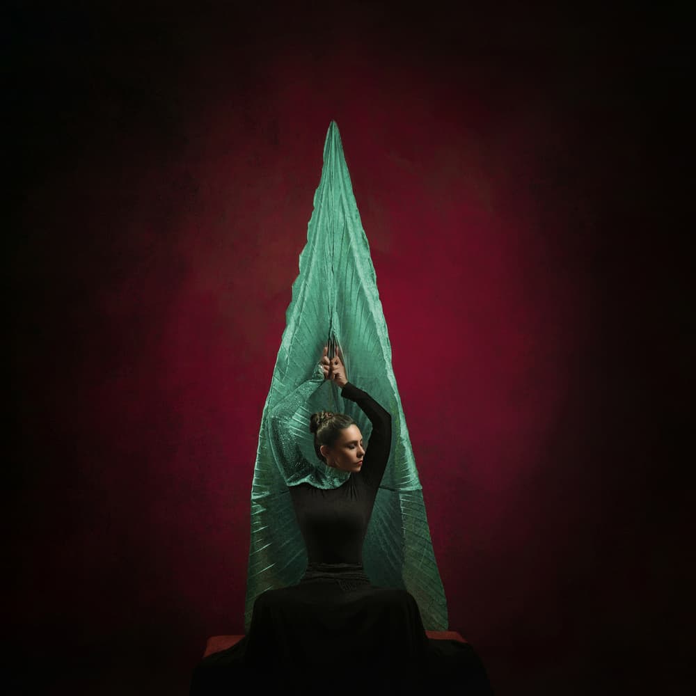 Elegant Fabric Pose by Moein Hasheminasab — canvas wall art