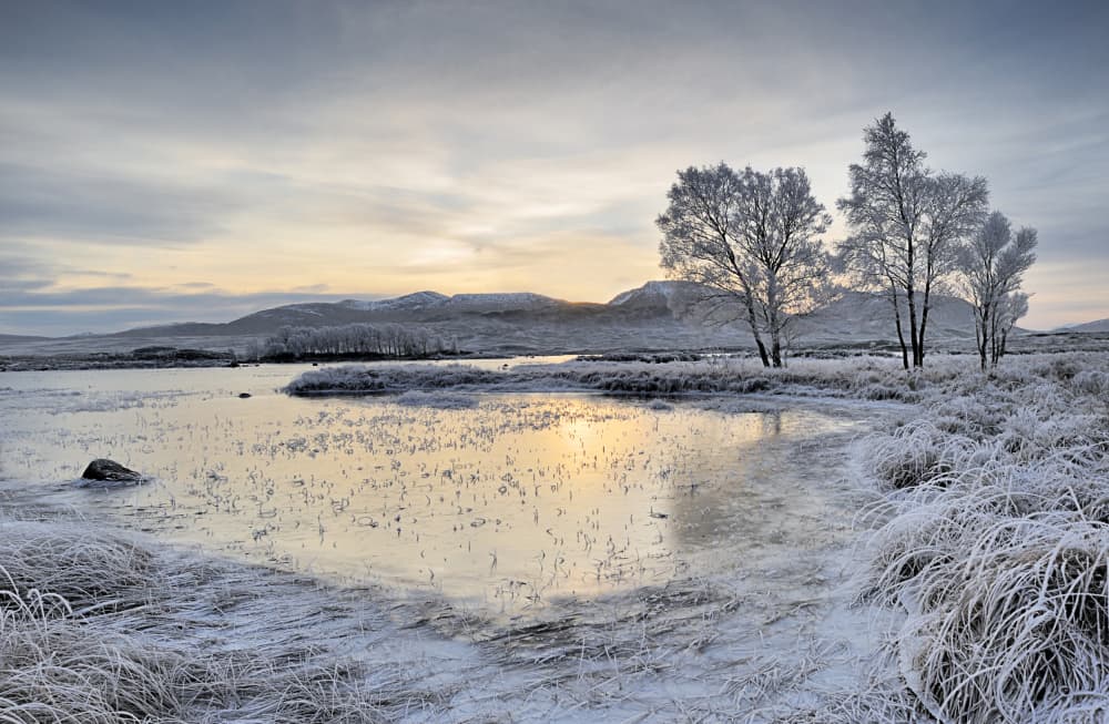 Golden Hour Frosty Lake by Peter Paterson — canvas wall art