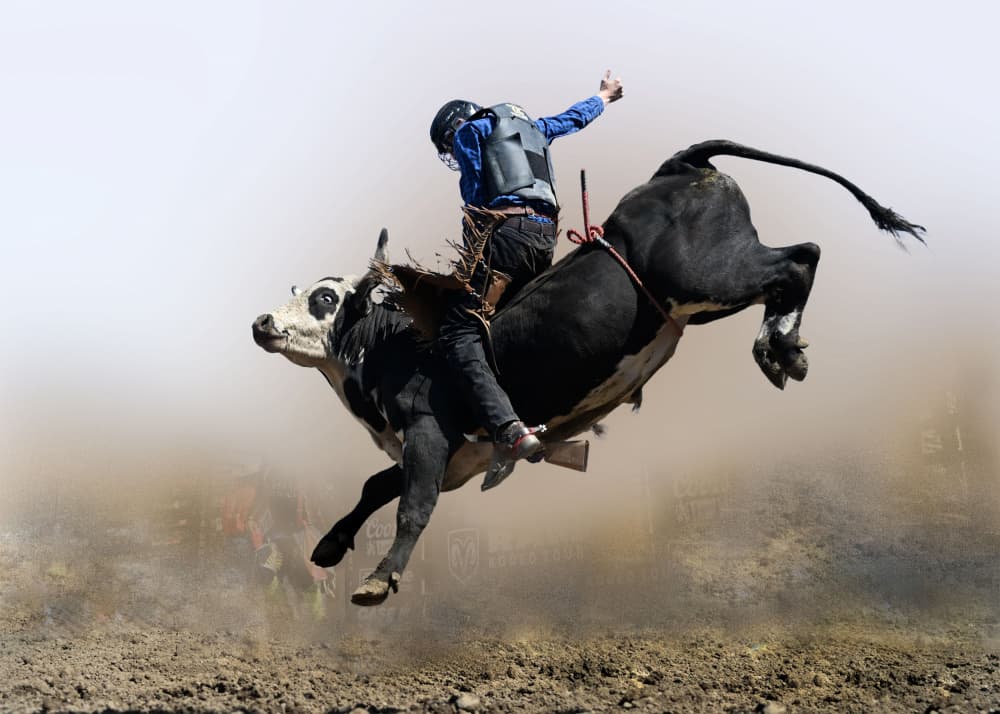 Bull Riding Action by Yuanwei Zuo APA — canvas wall art