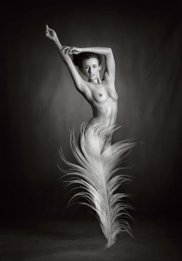 Ethereal Feather Dance by Catchlight Studio — canvas wall art