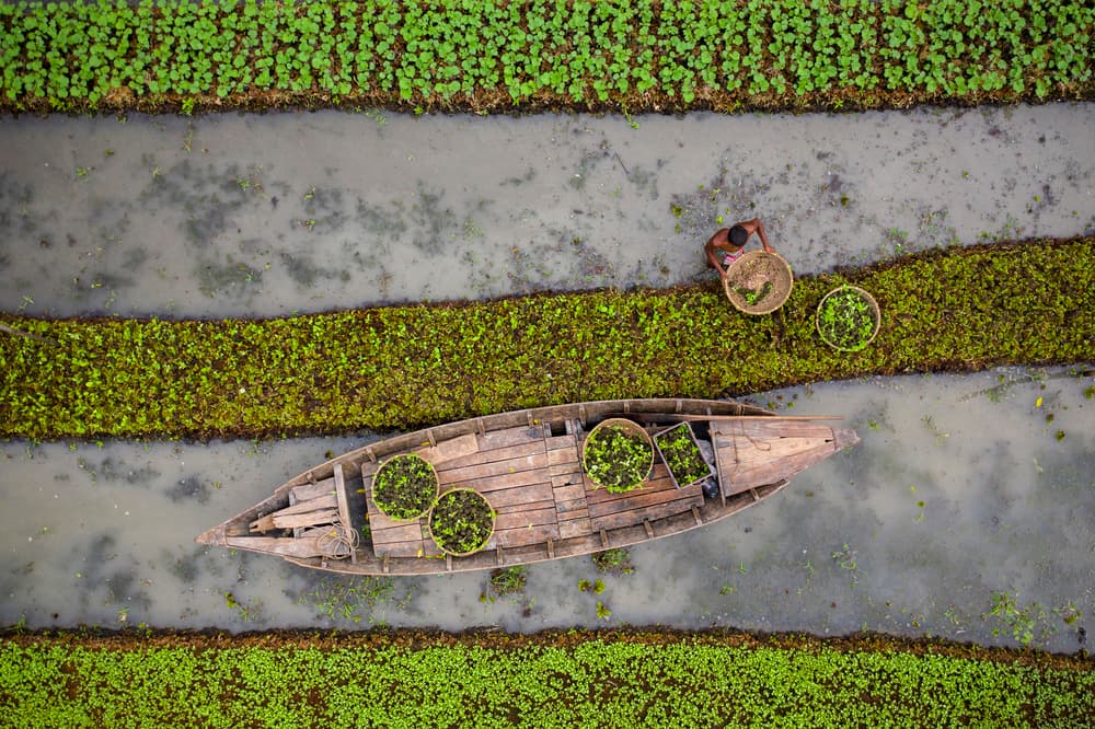 Farmer's Water Field by Azim Khan Ronnie — canvas wall art