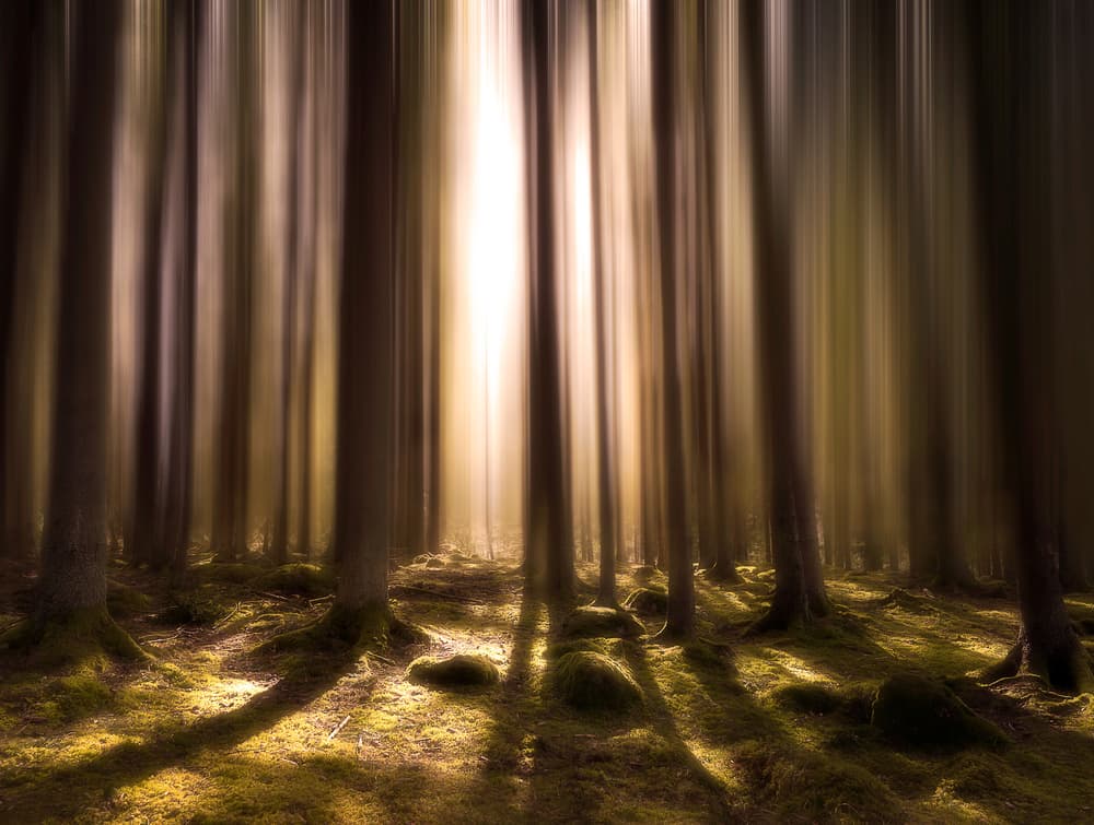 Breath of life by Christian Lindsten — canvas wall art