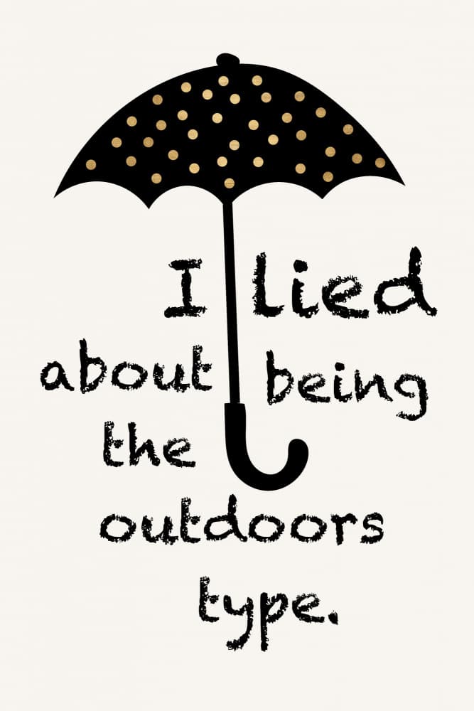 Sorry, I Lied by Kubistika — canvas wall art