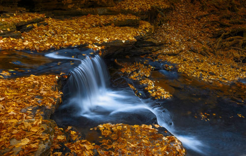 Golden Autumn Waterfall by Binbin L. — canvas wall art