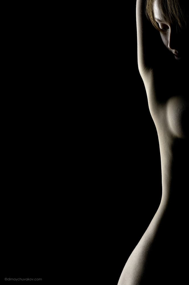 Elegant Female Silhouette by Dmitriy Aychuvakov — canvas wall art