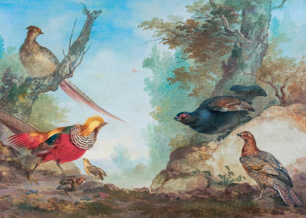 Pheasants by Aert Schouman — canvas wall art