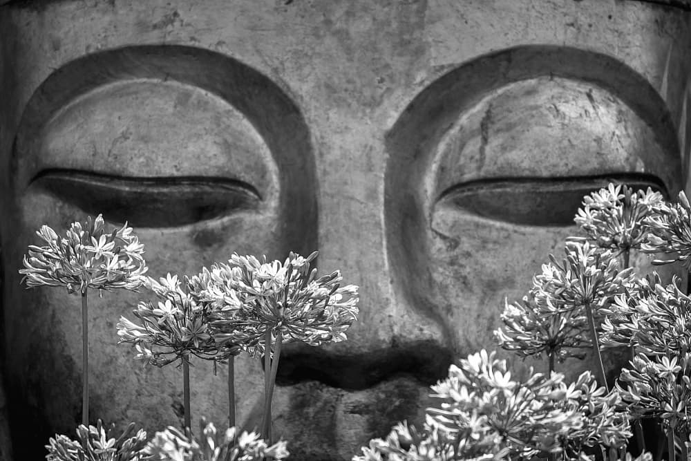 Serene Buddha With Flowers by Miguel Silva — canvas wall art