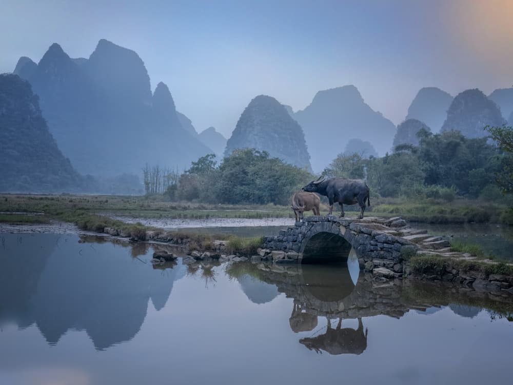 Misty Mountain Buffalo Bridge by Yuan Su — canvas wall art