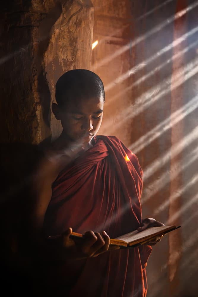 Young Monk Reading in Light by Amnon Eichelberg — canvas wall art