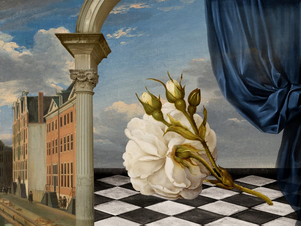 White Rose City Dream by Marja van den Hurk — canvas wall art