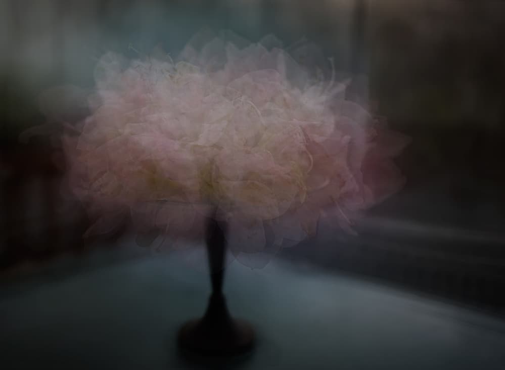 Dreamy Pink Floral Abstract by Katarina Holmström — canvas wall art