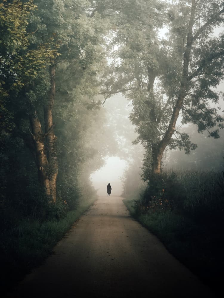 Misty Road Lone Figure by Renate Wasinger — canvas wall art