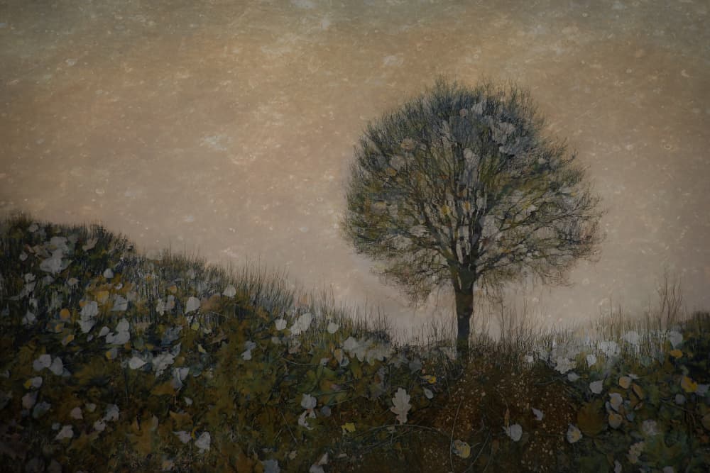 Lonely by Nel Talen — canvas wall art