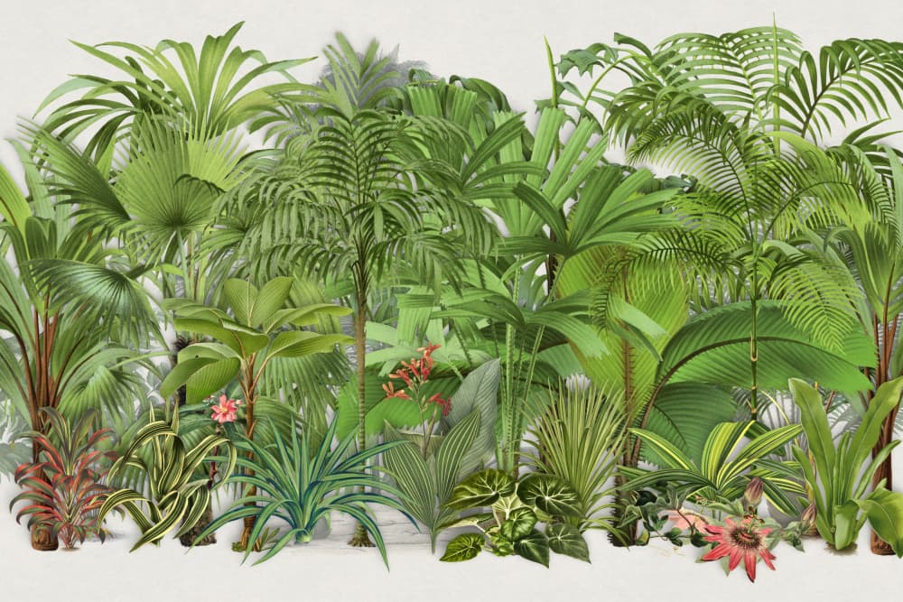 Lush Tropical Jungle by Andrea Haase — canvas wall art