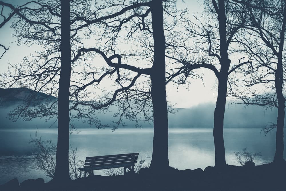Quiet Lakeside Bench by Patrick Aurednik — canvas wall art