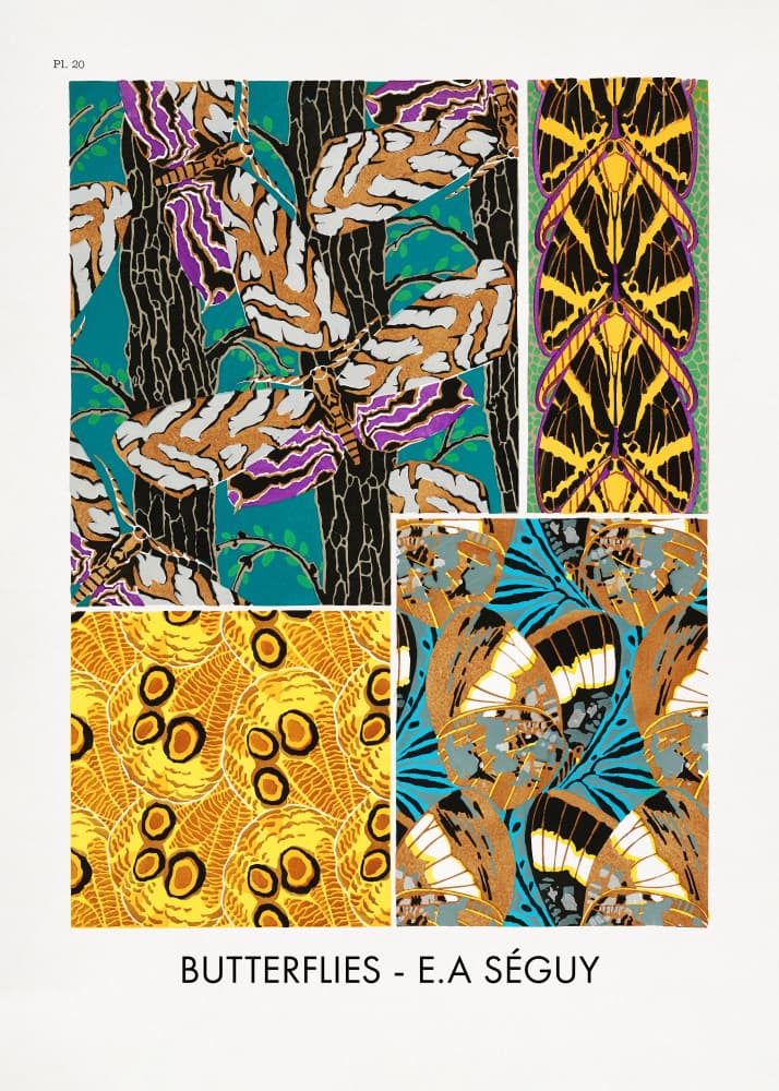 Butterflies 20 by Emile Alain Seguy — canvas wall art