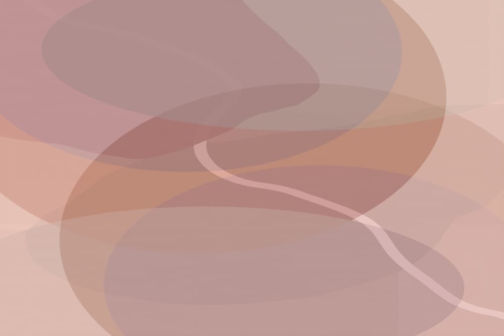 Blush Fluid Shapes by cartissi — canvas wall art