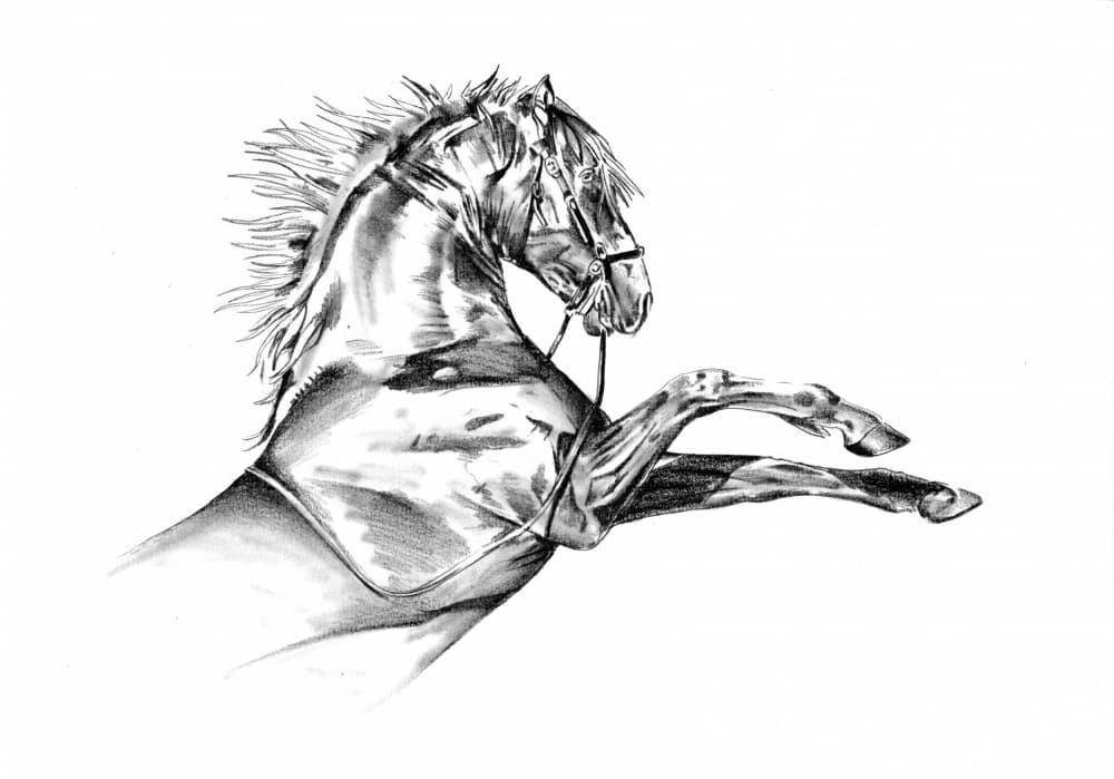 Horse 72 by Kulik — canvas wall art