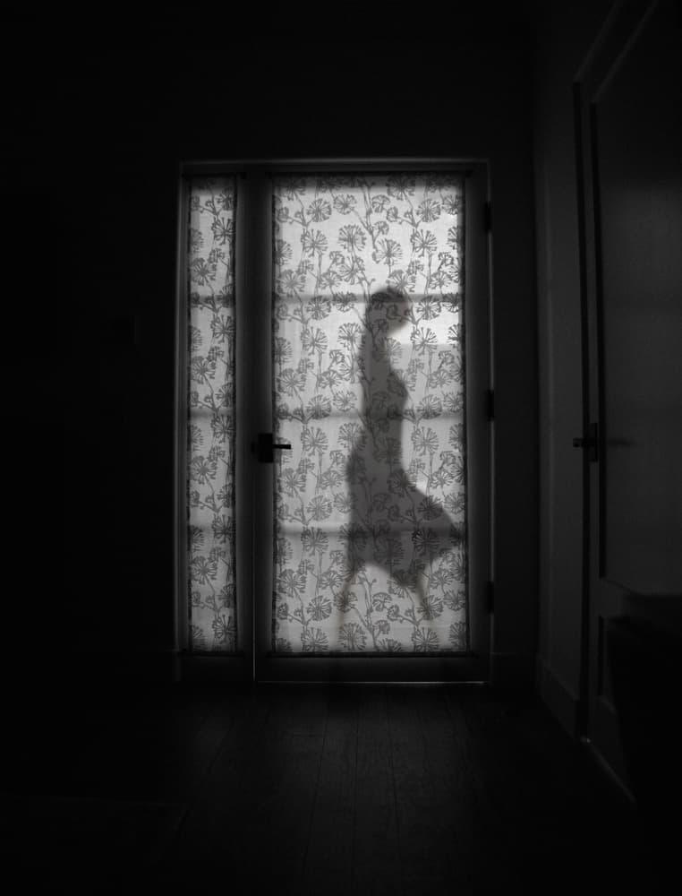 Elegant Silhouette Door by Roxana Labagnara — canvas wall art