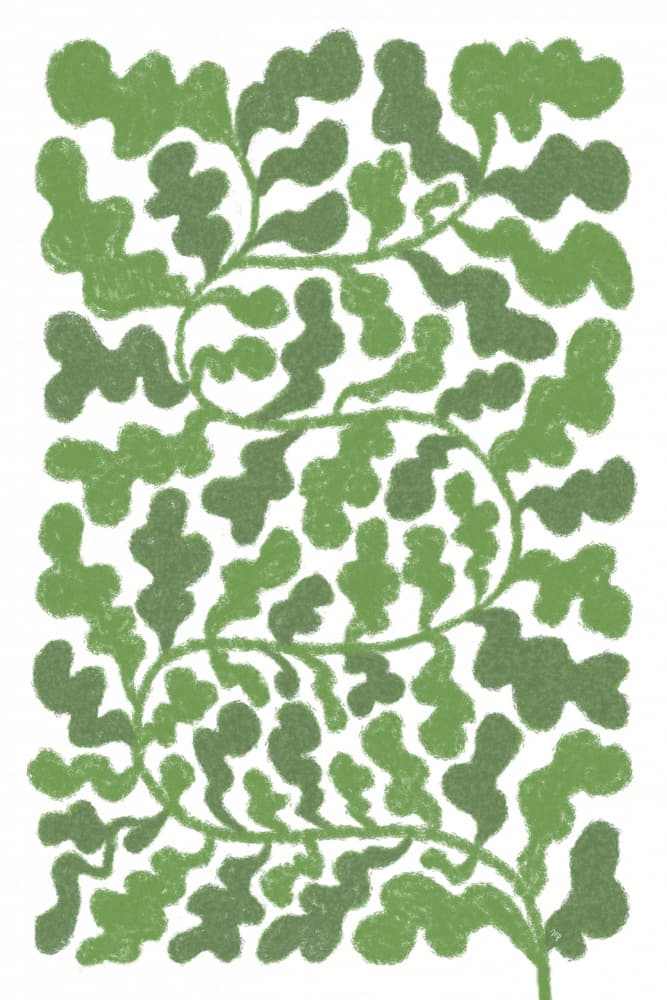 Botanical Leaf Pattern by Martina — canvas wall art