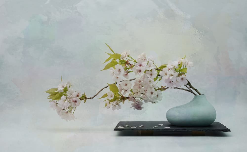 Zen Blossom Still Life by Saskia Dingemans — canvas wall art