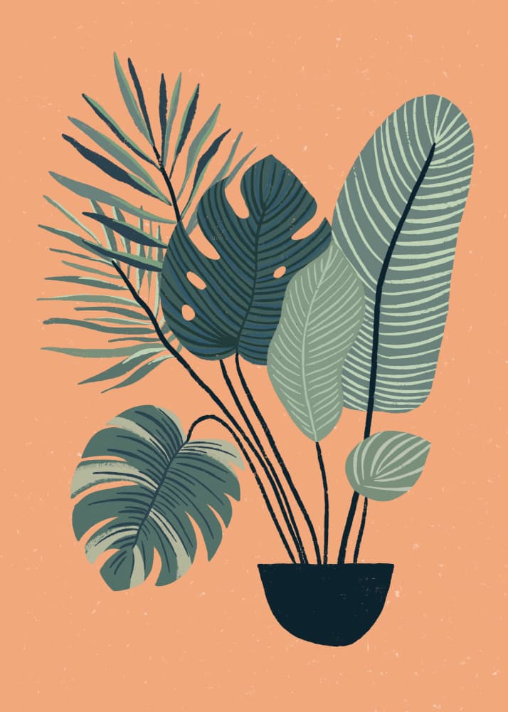 Potted Tropical Leaves by Katarzyna Gąsiorowska — canvas wall art