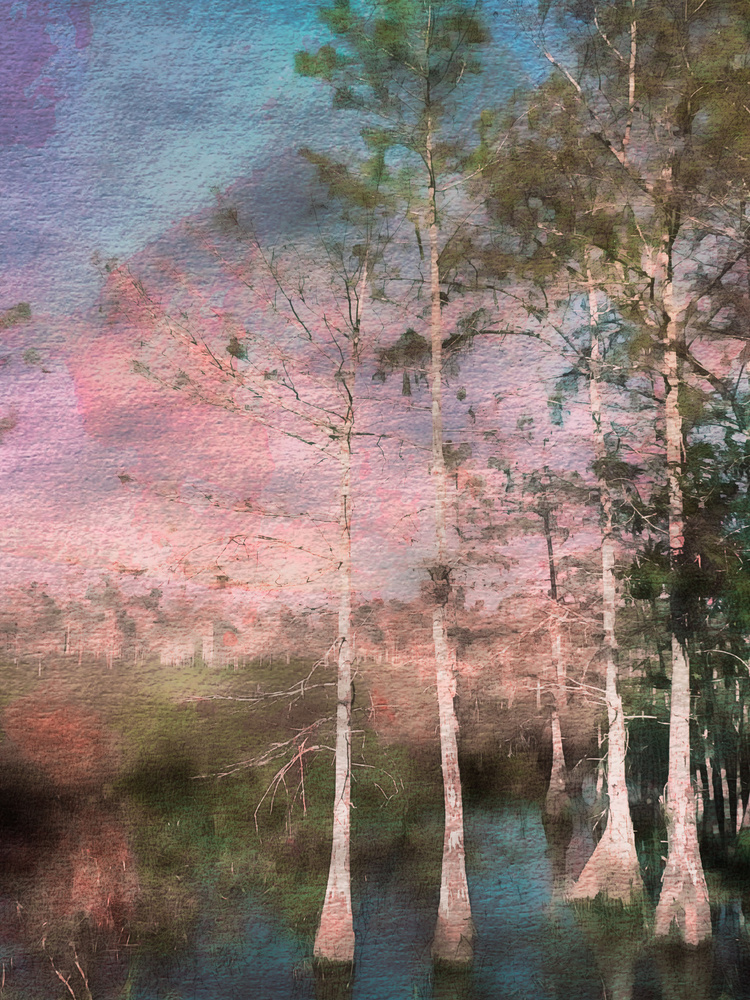 Pink Cypress Twilight by EDUARDO LLERANDI — canvas wall art