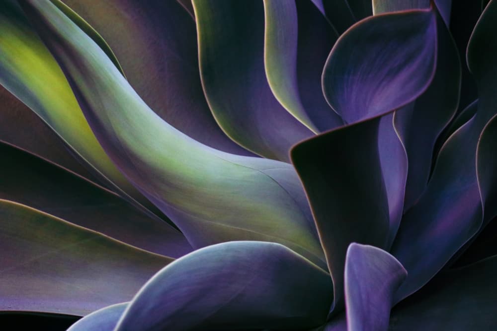 Moving towards winter by Robin Wechsler — canvas wall art
