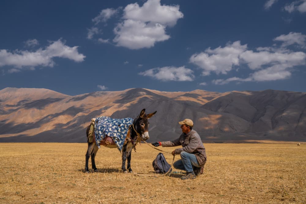 Man and Donkey Journey by Corinne Spector — canvas wall art