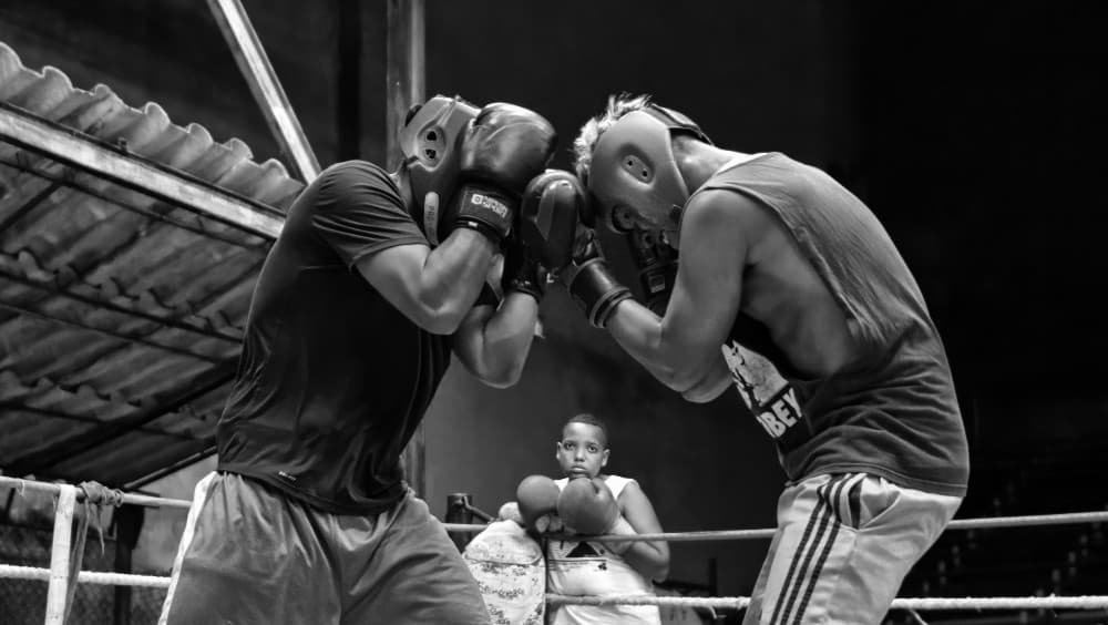 Boxing Sparring Practice by Dan Mărășescu — canvas wall art