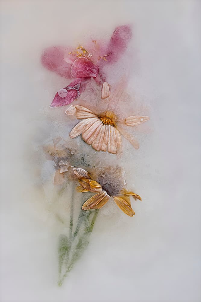 Ethereal Frozen Blooms by Pedro Uranga — canvas wall art