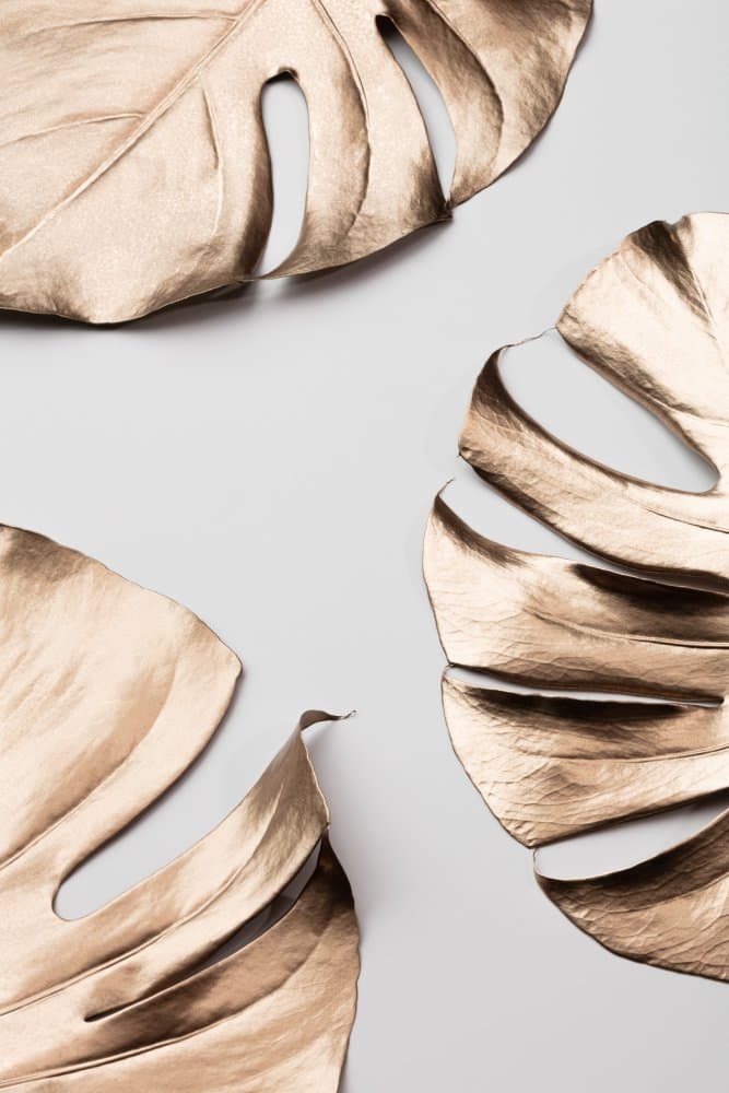 Gilded Monstera Leaves by Pictufy Studio III — canvas wall art