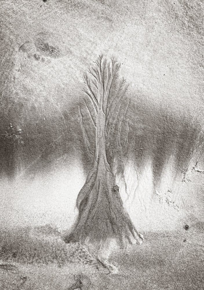 Organic Sand Tree by swapnil deshpande — canvas wall art