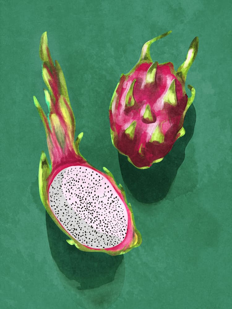 Dragonfruit by Raissa Oltmanns — canvas wall art
