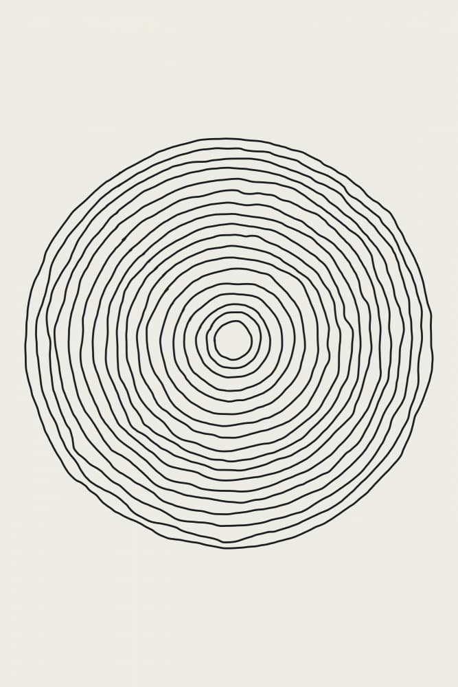 Abstract Tree Rings by jay stanley — canvas wall art