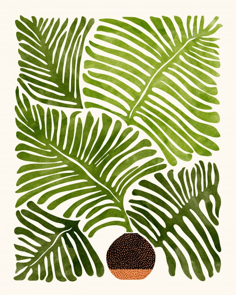 Summer Fern 4x5 by Kristian Gallagher — canvas wall art
