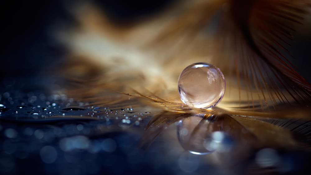 Glistening Feather Drop by Fauzan Maududdin — canvas wall art