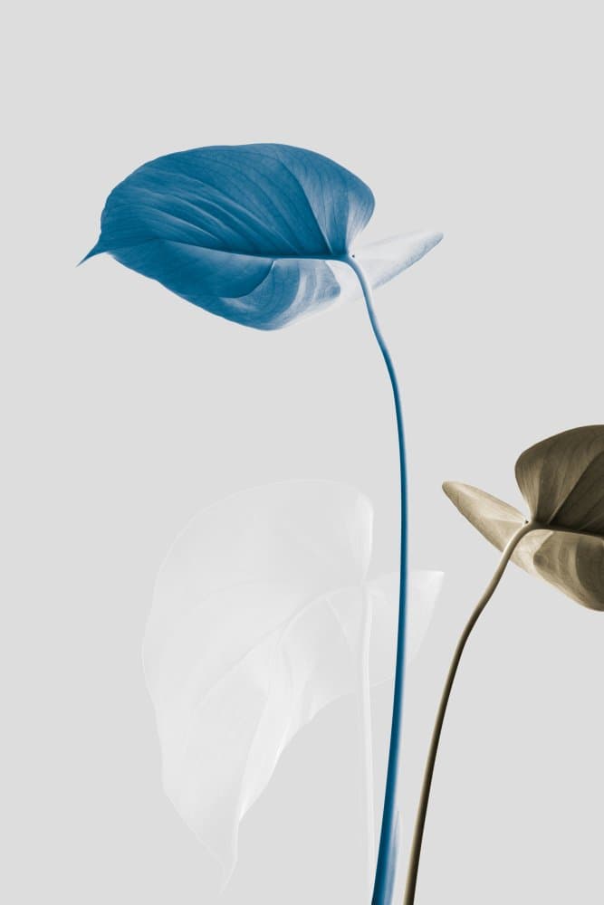 Serene Blue Leaves by Pictufy Studio III — canvas wall art