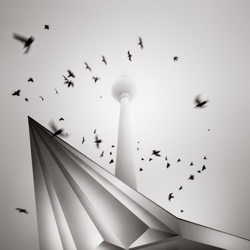 Berlin Tower Birds by Haggard — canvas wall art