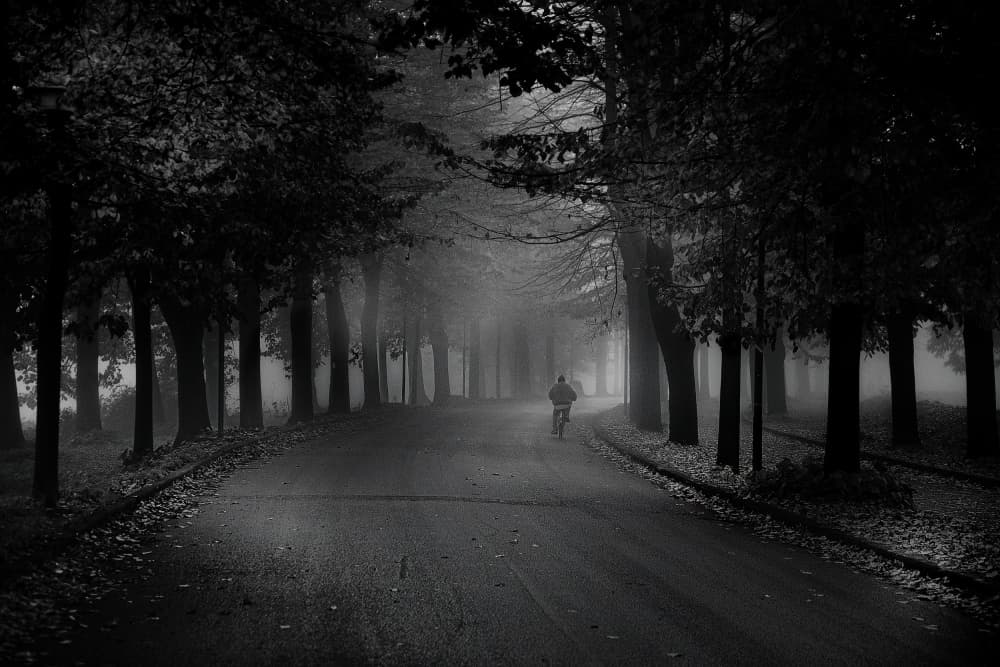 Misty Road Cyclist by Claudio Moretti — canvas wall art