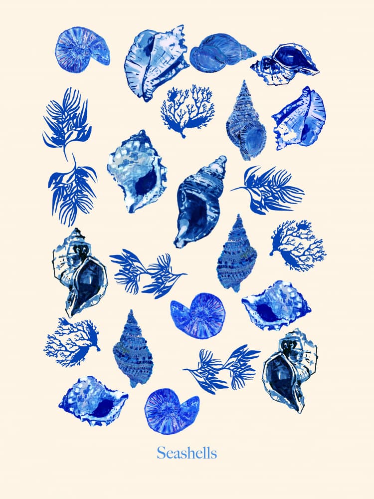 Coastal Blue Seashells by cartissi — canvas wall art
