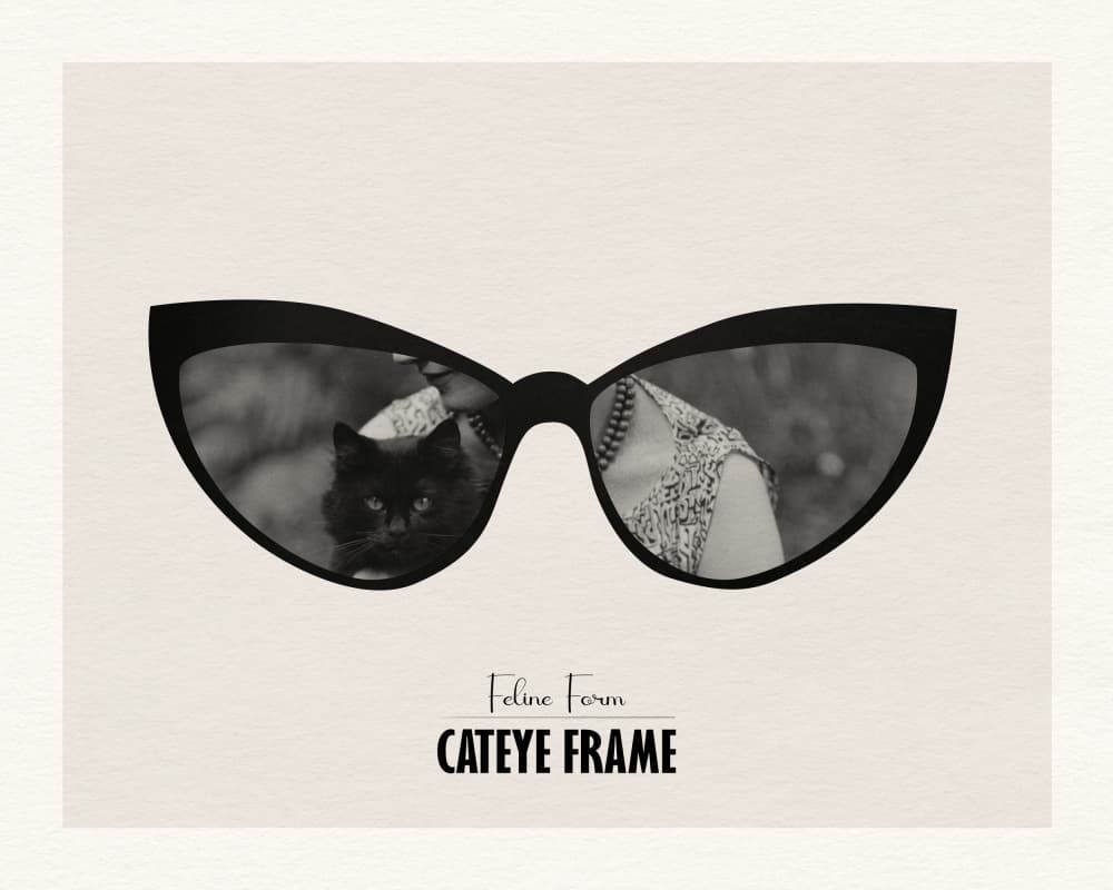 Black Cat Eye Reflections by Wild Violets — canvas wall art