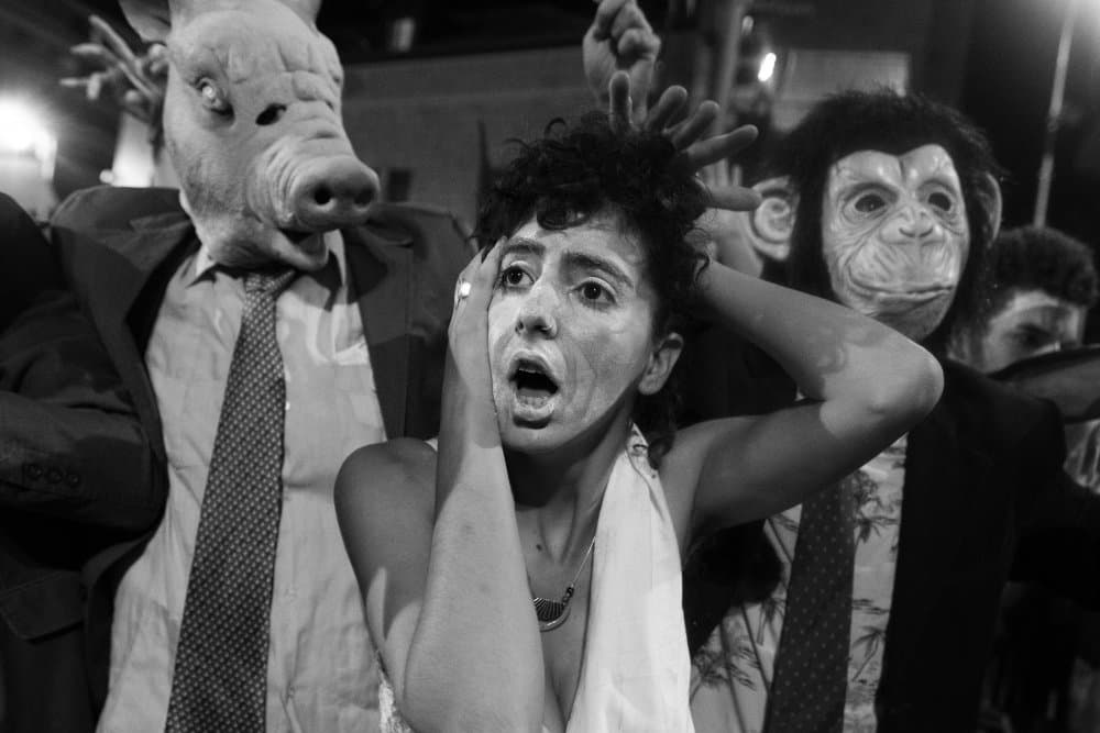 Distress and Animal Masks by Orna Naor — canvas wall art